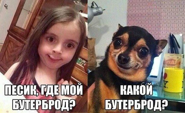 333 и БШШБЮД