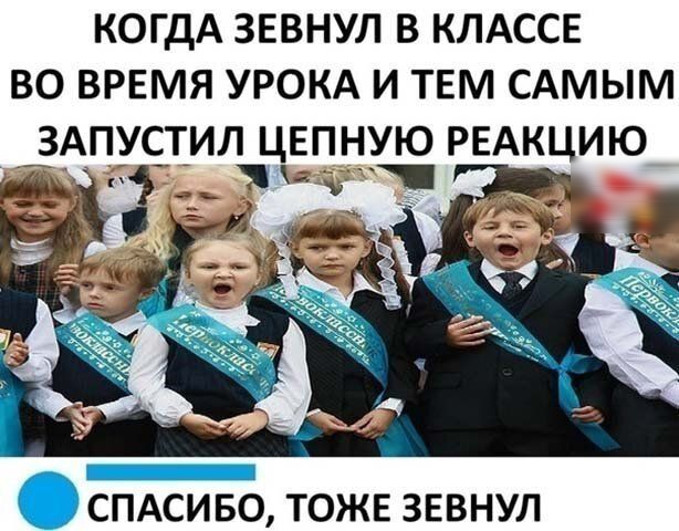 КОГДА ЗЕВНУЛ В КЛАССЕ ВО ВРЕМЯ УРОКА И ТЕМ САМЫМ ЗАПУСТИЛ ЦЕПНЪЁ РЕАКЦИЮ _ спдсивб тоже зевнул