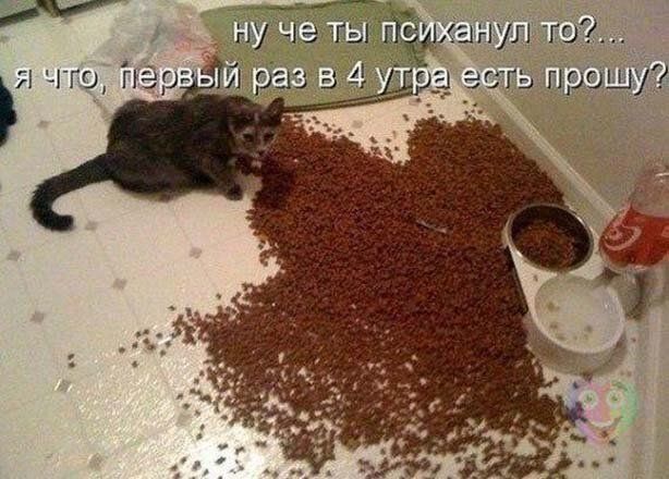 у к что пар
