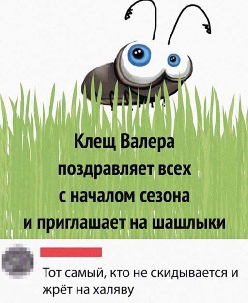 Клещ Валера поздравляет всех с началом сезона и приглашает на шашлыки _ Тот самый кто не скидывается и жрёт на халяву