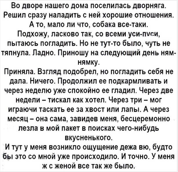 Во дворе нашего дома поселилась дворняга Решил сразу наладить с ней хорошие отношения А то мало ли что собака все таки Подхожу ласково так со всеми уси писи пытаюсь погладить Но не тут то было чуть не тяпнула Ладно Приношу на следующий день ням нямку Приняла Взгляд подобрел но погладить себя не дала Ничего Продолжил ее подкармливать и через неделю уже спокойно ее гладил Через две недели тискал как