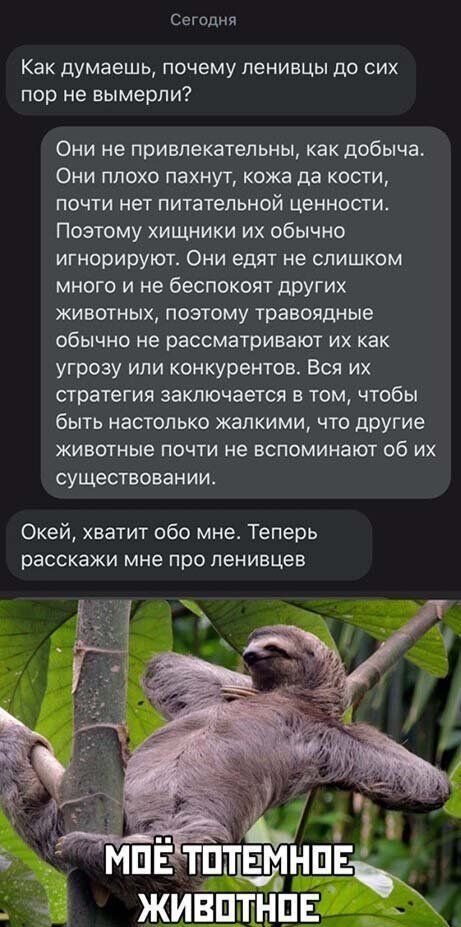 Сегодня Как думаешь почему ленивцы до сих пор не вымерли Они не привлекательны как добыча Они плохо пахнут кожа да кости почти нет питательной ценности Поэтому хищники их обычно игнорируют Они едят не слишком много и не беспокоят других животных поэтому травоядные обычно не рассматривают их как угрозу или конкурентов Вся их стратегия заключается в том чтобы быть настолько жалкими что другие животн