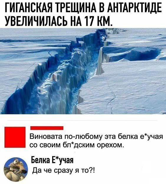 ГИГАНСКАЯ ТРЕЩИНА В АНТАРКТИДЕ УВЕЛИЧИЛАСЬ НА 17 КМ _ Виновата по пюбому эта белка еучая со своим блдским орехом Белка Еучая Да че сразу я то