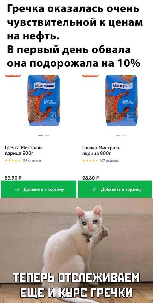 Гречка оказалась очень чувствительной к ценам на нефть В первый день обвала она подорожала на 10 Гиечхз Мисграль Гречка Мистраль ядрица еоог пприца е00г 5990 в 9680 в В