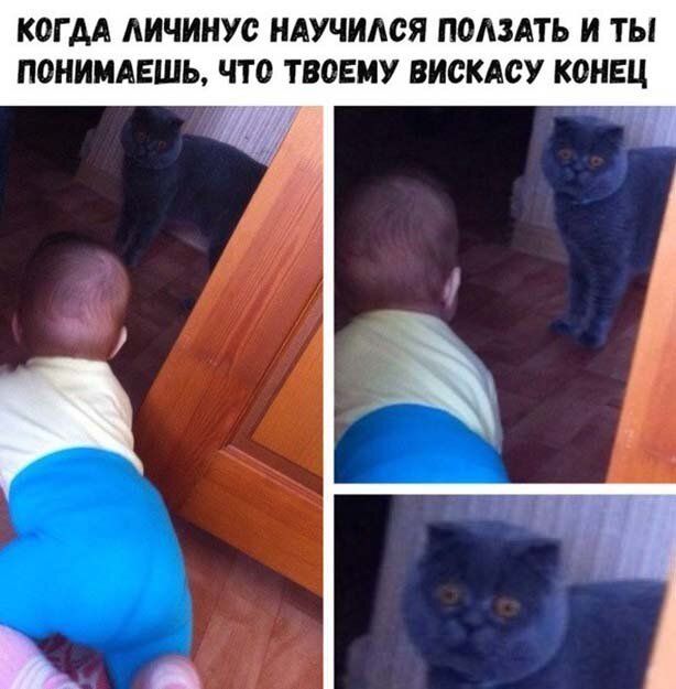 КОГ АА АИЧИНУС НАУЧИАСЯ ПОАЗАТЬ И ТЫ ПОНИМАЕШЬ ЧТО ТВОЕМУ ВИОКАОУ КОНЕЦ