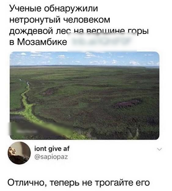 Ученые обнаружили нетронутый человеком дождевой лес ця спавшим гпры в Мозамбике іопс еіче а эаріораг Отлично теперь не трогайте его