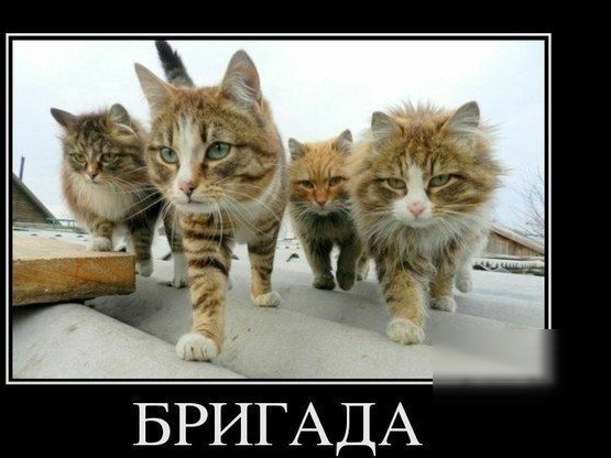 А д А Г И _Р Б
