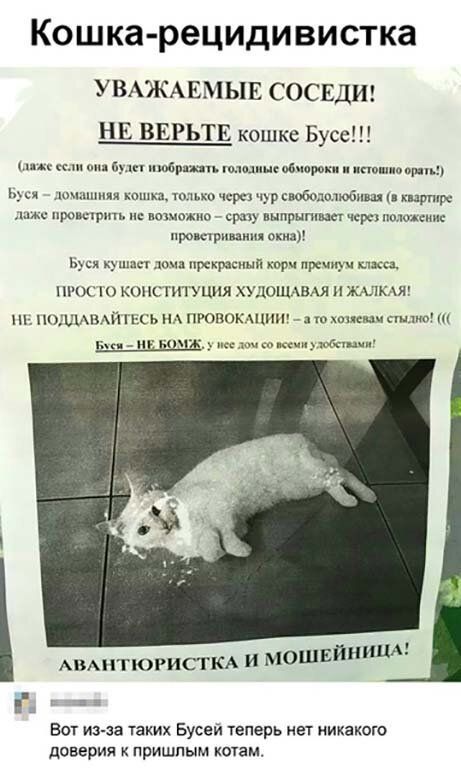 Кошка рецидивистка УВАЖАЕМЫЕ СОСЕДИ НЕ ВЕРЬТЕ кошке Буса тиши ш обмороки кпп шо ь ю шины цка чара идр побололмшш шт пром хрип иаможпо при ннпршншт царе полиции нрошрпшм окна ь к доча прекрасный рм плюс 1 и комп итуцня худошшм и жыкдях Н ПОДДМЗАЙ Ь ПРОП1КШИ жопами спицы А АвАпТЮРИСТКА и МОШЕЙШШ Вот из за таких Бусей теперь нет никакого доверия пришпым котам
