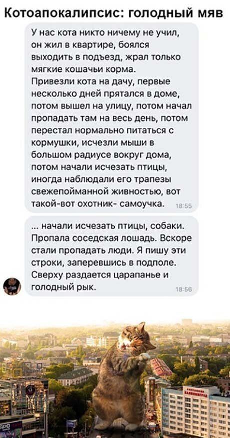 Котоапокалипсис голодный МЯВ У нас кота никто ничему не учил он жил в квартире боялся выходить в подъезд жрал только мягкие кошачьи корма Привезли кота на дачу первые несколько джей прятался в доме ПОТОМ ВЫШЕ на улицу ПОТФМ начал пропадать там на весь день потом ПЕРЕСТЗП ИОВМЗПЬИО ПИТЗТЬСП с кормушки исчезли мыши в большом радиусе вокруг дома потом начали исчезать птицы иногда наблюдали его трапез
