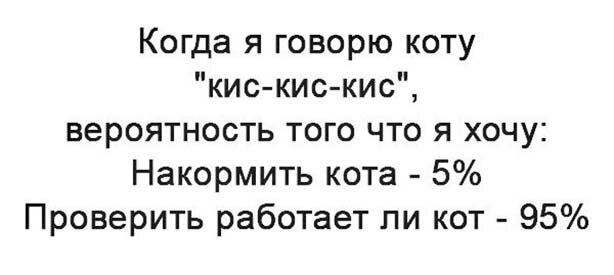 Когда я говорю коту кис кис кис вероятность того что я хочу Накормить кота 5 Проверить работает ли кот 95