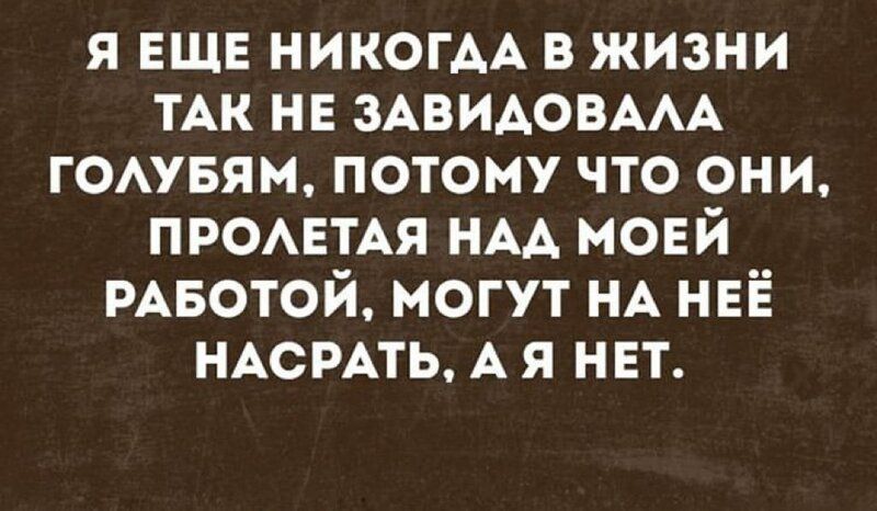 я ЕЩЕ никогАА в жизни ТАК НЕ ЗАВИАОВААА гоАувям потому что они ПРОАЕТАЯ НАА мовй РАвотой могут НА НЕЁ НАСРАТЬ А я НЕТ