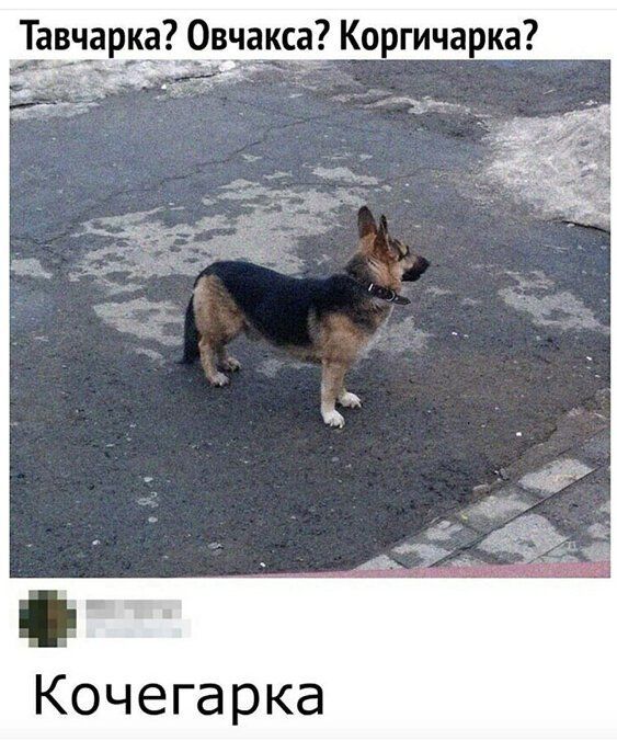 Кочегарка