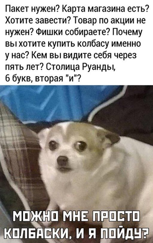 Пакет нужен Карта магазина есть Хотите завести Товар по акции не нужен Фишки собираете Почему вы хотите купить колбасу именно у нас Кем вы видите себя через пять лет Столица Руанды 6 _букв вторая и