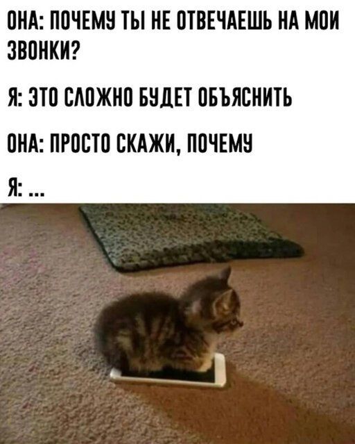 ПНА ППЧЕМН ТЫ НЕ ПТВЕЧАЕШЬ НА МПИ ЗВПНКИ Я ЗП САПЖНП БНДЕТ ПБЪЯБНИТЬ ПНА ПРПЕТП ВКАЖИ ППЧЕМН Я
