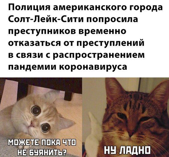 Полиция американского города Солт Лейк Сити попросила преступников временно отказаться от преступлений в связи с распространением пандемии коронавируса ъ мщкддтв ЙЁКд чш нввнянитьэ НН ЛддНП