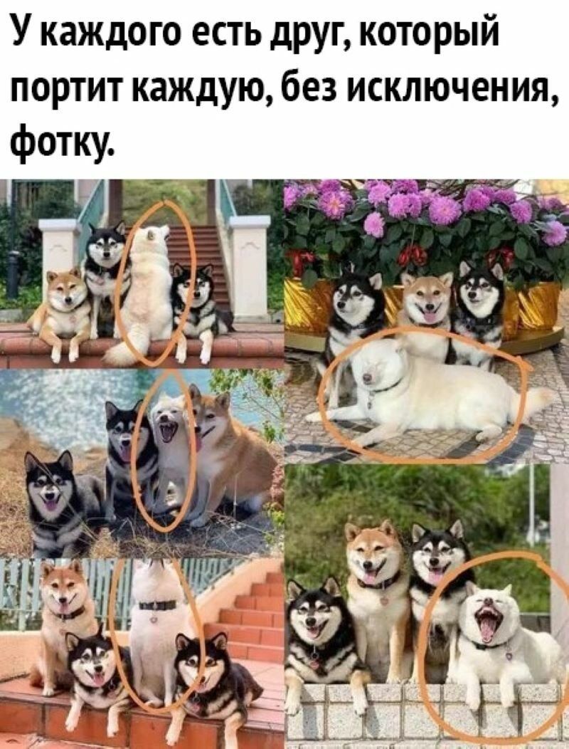 У каждого есть друг который портит каждую без исключения фотку