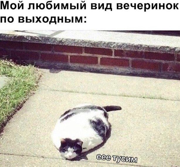 Мой любимый вид вечеринок по выходным