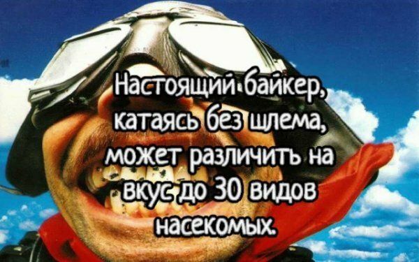 На _ стоЯщий байкер катаясьЧбёацшщ может различить на КУСд0 ЗОіВИДОВ _насекомых