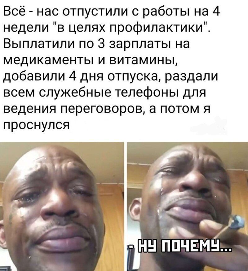 Всё нас отпустили с работы на 4 неделивцеляхпрофилактикиТ ВыплатилигиэЗзарплатьпна медикаментьпивитаминьь добавили 4 дня отпуска раздали всем служебные телефоны для ведения переговоров а потом я проснулся