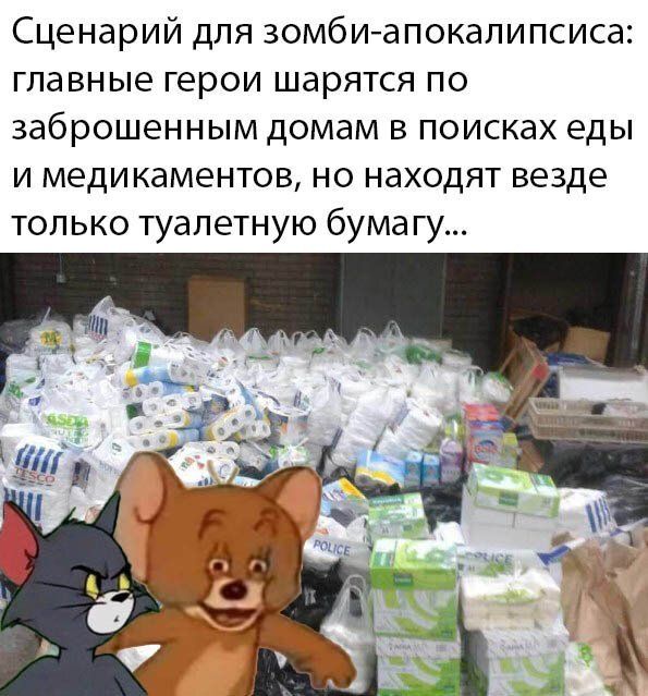 Сценарий для зомбиапокалипсиса главные герои шарятся по заброшенным домам в поисках еды и медикаментов но находят везде только туалетную бумагу