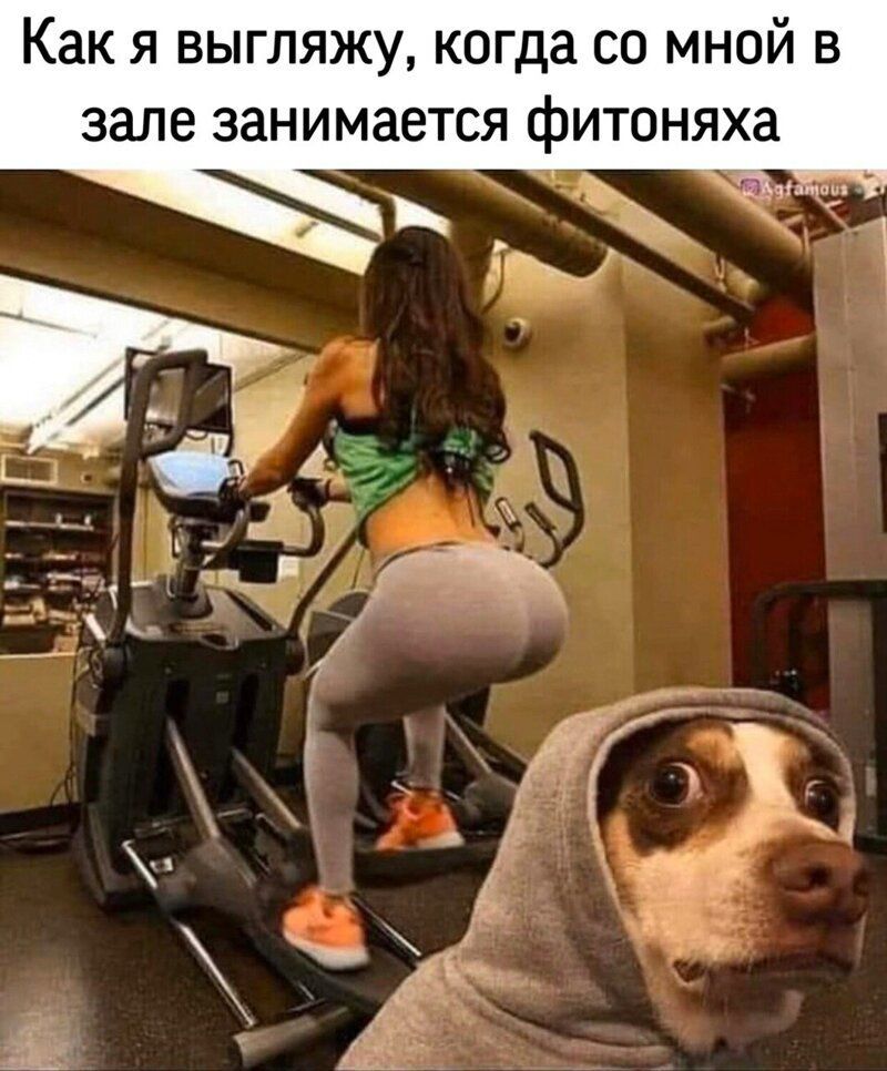 Как я выгляжу когда со мной в зале занимается фитоняха Ддтшц