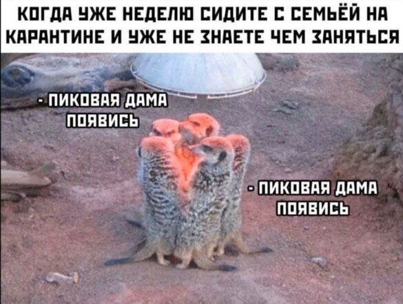 КПГдП НЖЕ НЕДЕЛЮ ПИДИТЕ БЕМЬЁЙ НП КПРПНТИНЕ И НЖЕ НЕ ЗНПЕТЕ ЧЕМ ЗПНПТЬЕЯ