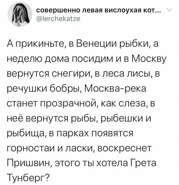совершенно левая вислоухая кот іегспеКатхе А прикиньте в Венеции рыбки а неделю дома посидим и в Москву вернутся снегири в леса лисы в речушки бобры Москварека станет прозрачной как слеза в неё вернутся рыбы рыбешки и рыбища в парках появятся горностаи и ласки воскреснет Пришвин этого ты хотела Грета Тунберг