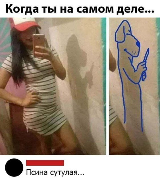 Когда ты на самом деле _ Псина сутулая