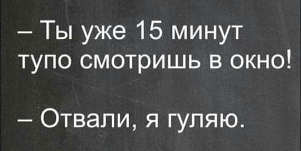 Ты уже 15 минут тупо смотришь в окно Отвали я гуляю