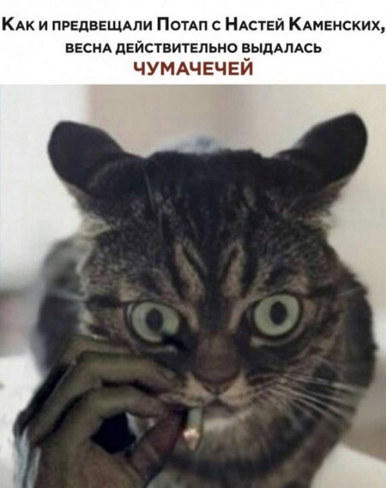 КАк и предввщми ПОТАП с НАСТЕЙ КАмвнских ВЕСНА действительно ВЫдАЛАСЬ ЧУМАЧ ЕЧЕИ