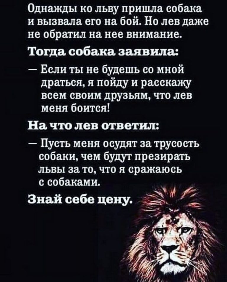Однажды ко льву пришла собака и вызвала его на бой Но лев даже не обратил на нее внимание Тогда собака ЗШШКЗ Если ты не будешь со мной драться я пойду и расскажу всем своим друзьям что лев меня боится На что лев ответил Пусть меня осудят за трусость собаки чем будут презирать львы за то что я сражаюсь с собаками Знай себе цену г