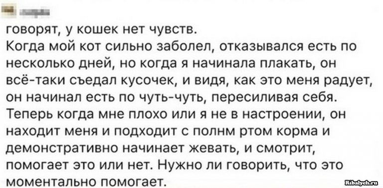 Ч Щ ГОВООЯТ У кошек нет ЧУВСТВ Когца МОЙ КОТ СИЛЬНО заболел ОТКЗЗЫВЭЛСЯ есть ПО НЭСКОЛЬКО дней НО КОГДЗ Я НЗЧИНЭПЗ ПЛЗКЗТЬ ОН ВСё ТЭКИ СЪЕДЗП КУСОЧЭК И ВИДЯ как ЭТО меня РЗДУЭТ ОН НЗЧИНЗП есть ПО ЧУТЬ ЧУТЬ пересиливая себя теперь КОГДЗ мне ПЛОХО ИЛИ Я не В настроении ОН НЗХОДИТ МЕНЯ И ПОДХОДИТ С ПОЛНМ РТОМ корма И демонстративно НЗЧИНЗЭТ ЖЕВЗТЬ И СМОТРИТ ПОМОГЗЕТ ЭТО ИЛИ нет НУЖНО ЛИ ГОВОРИТЬ ЧТО 