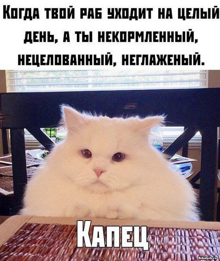 пгдп ТВПЙ РАЕ ПШдИТ Нд ЦЕЛЫЙ ЛЕНЬ А ТЫ НЕКПРМПЕННЫЙ НЕЦЕЛПВПННЫЙ НЕГЛПЖЕНЫЙ