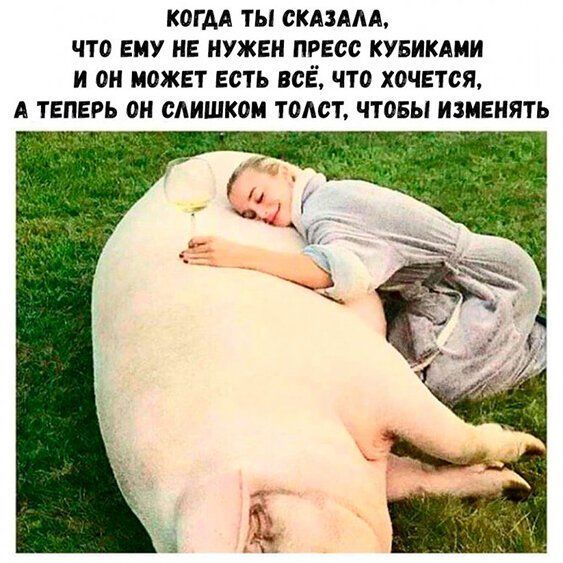 КОГДА ТЫ СКАЗААА ЧТО ЕМУ НЕ НУЖЕН ПРЕСС КУБИКАМИ И ОН МОЖЕТ ЕСТЬ ВСЕ ЧТО ХОЧЕТСЯ А ТЕПЕРЬ ОН СЛИШКОМ ТОАСТ ЧТОБЫ ИЗМЕНЯТЬ