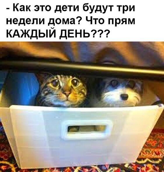 Как это дети будут три недели дома Что прям КАЖДЫИ дЕНЬ і