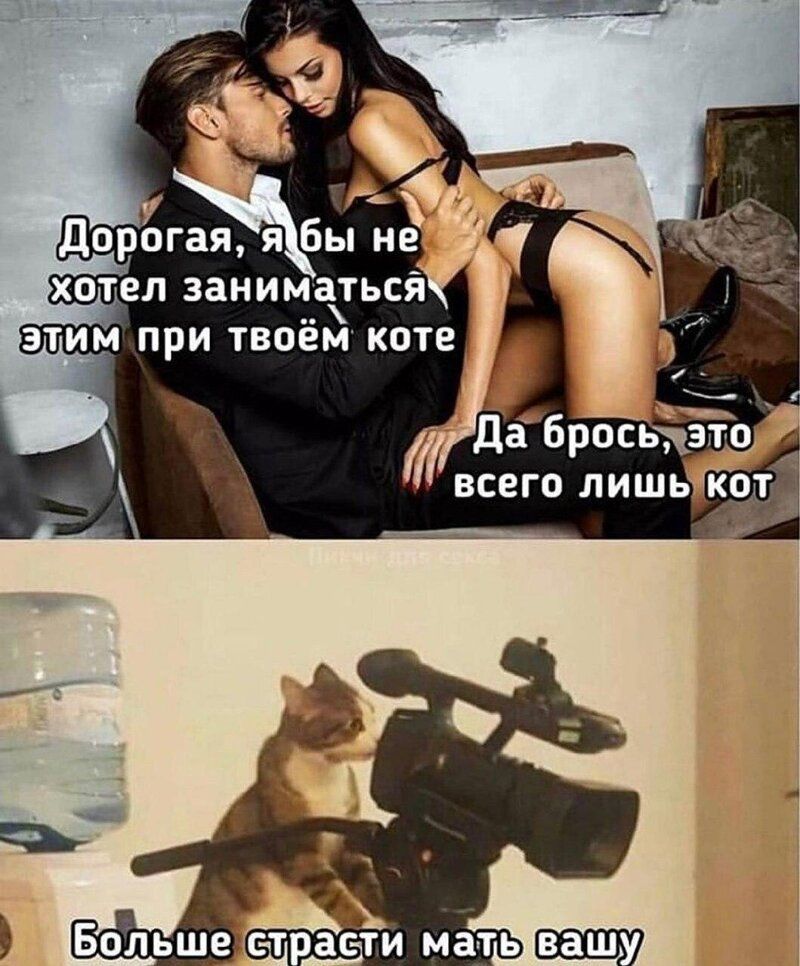 тГел заниматься этим при твоём коте