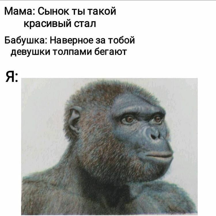 Мама Сынок ты такой красивый стал Бабушка Наверное за тобой девушки толпами бегают Я