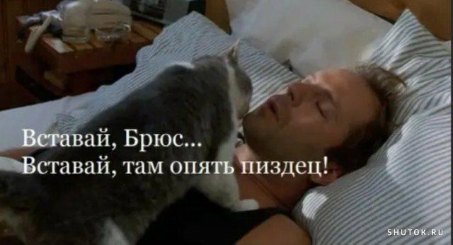 сжигай там опя А
