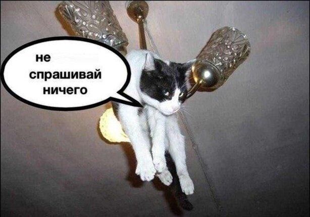 спрашивай ничего