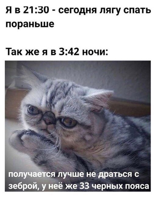 Я в 2130 сегодня пягу спать пораньше Так же я в 342 ночи ПОПУЧЗ Я лучше не драться С зеброй у неё же 33 черных пояса