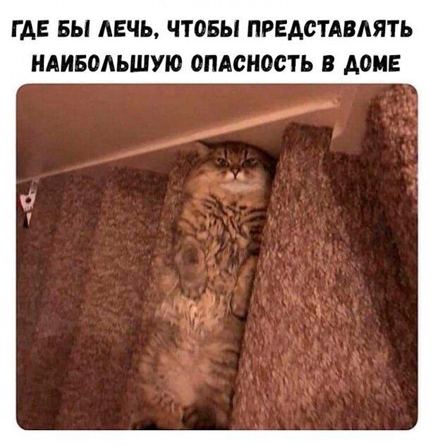 Г АЕ БЫ АЕЧЬ ЧТОБЫ ПРЕАСТАВАЯТЬ НАИБОАЬШУЮ ОПАСНОСТЬ В АОМЕ