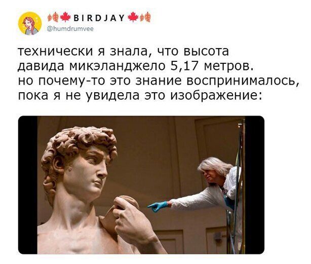 ВК01АУ щее технически я знала что высота давида микэланджело 517 метров но почему то это знание воспринималось пока я не увидела это изображение