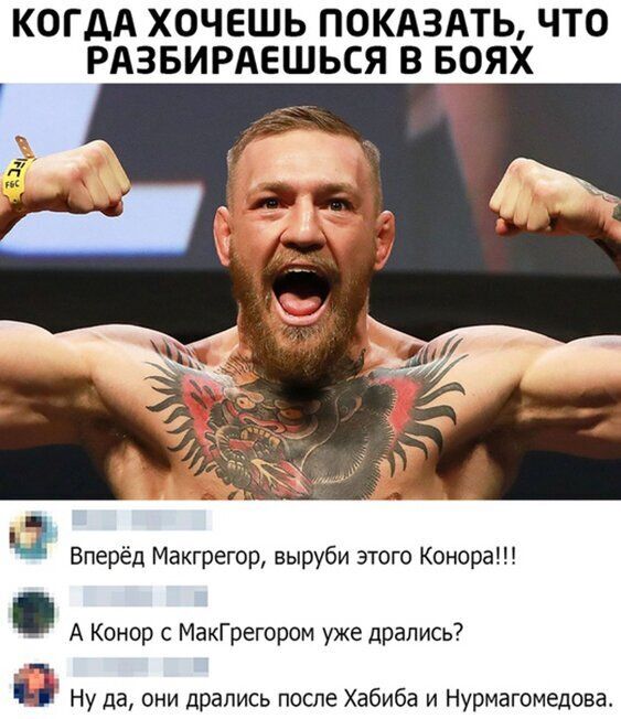 КОГДА ХОЧЕШЬ ПОКАЗАТЬ ЧТО РАЗБИРАЕШЬСЯ В БОЯХ Вперёд Макгрегор выруби этого Конора А Конор с МакГрегором уже дрались Ну да они дрались после Хабиба и Нурмагомедова