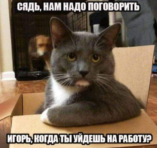 пядь НАМ АДВ ПЭГВВЧИТЬ ИШРЪ иогдыы ЩЕШЬ нд 9