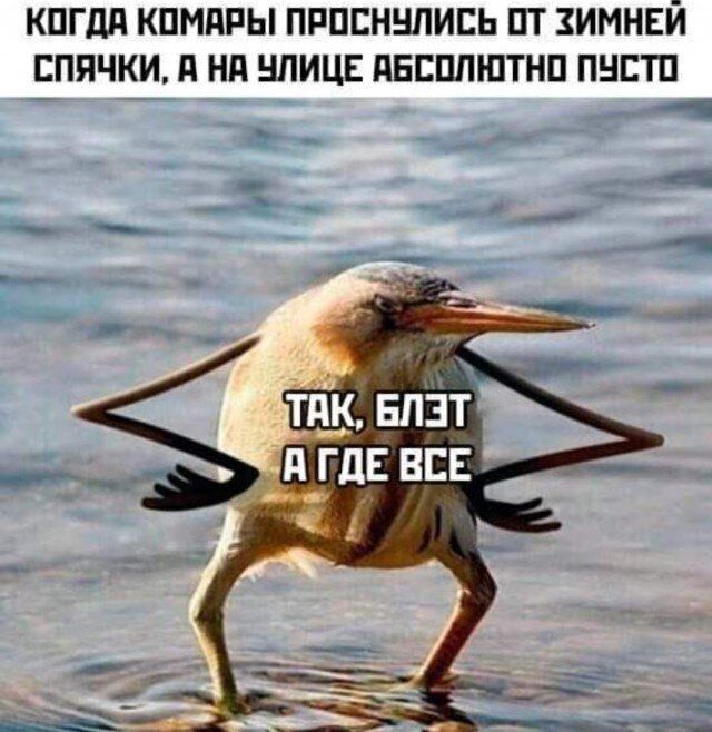 КПГдд КПМПРЫ ПРПЕННЛИЕЬ ПТ ЗИМНЕЙ ЕППЧКИ д Нд НЛИЦЕ ПЕЕППШТНП ПНЕТП