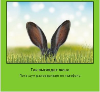 Так плядит жена п муж різшприпп пп щюциу