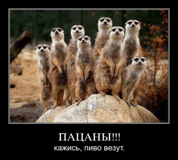 ПАЦАНЫ КЗЖИСЬ ПИВО ВЭЗУТ