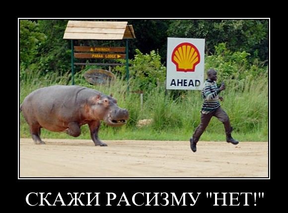 СКАЖИ РАСИЗМУ НЕТ