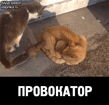 ПРОВОКАТОР