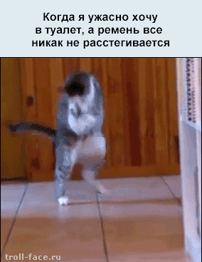 Когда я ужасно хочу в туалет в ремень все никак не Пасстегивается вина _